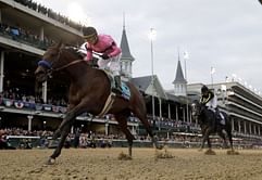 Game Winner among 362 horses eligible for Triple Crown