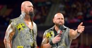 Luke Gallows and Karl Anderson have had limited title opportunities