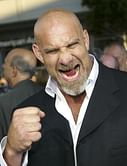 Top 5 WWE wrestlers with unexpected new professions