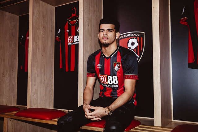 Solanke moved to Dean Court this January (Source: afcb.co.uk)