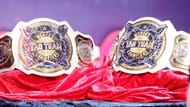The 1st ever women's tag team championship