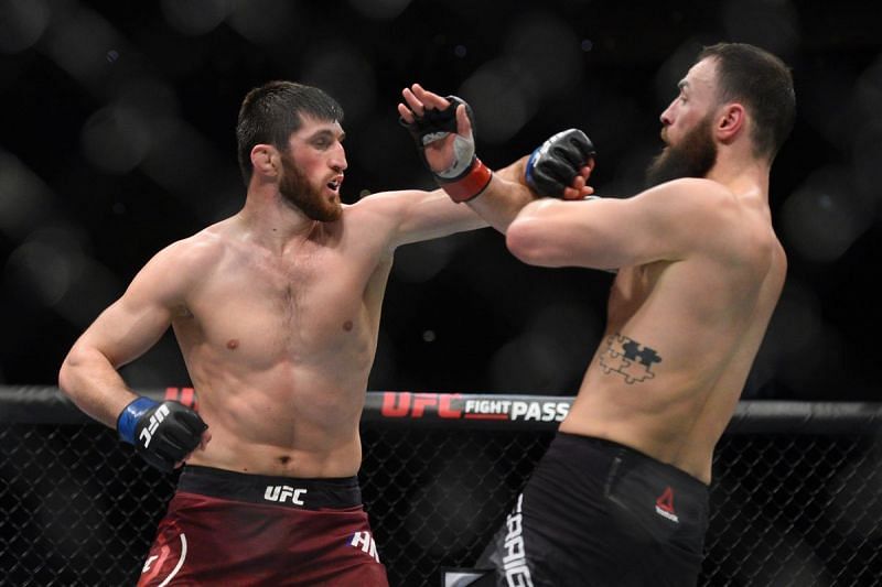 Magomed Ankalaev is one of the UFC&#039;s best prospects at 205lbs
