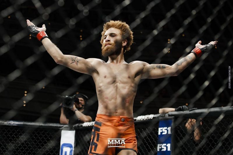 Luis Pena is known as &#039;Violent Bob Ross&#039;