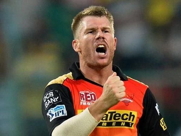 David Warner is back!