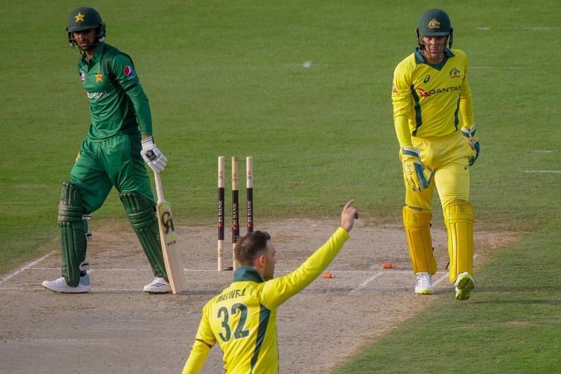 Glenn Maxwell celebrates after dismissing Shoaib Malik