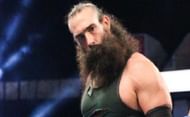 Luke Harper