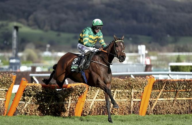 Poignant win for Klassical Dream's owner at Cheltenham