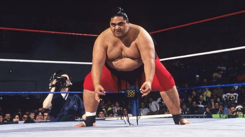 Yokozuna defeated Bret &#039;The Hitman&#039; Hart in the main event of WrestleMania IX
