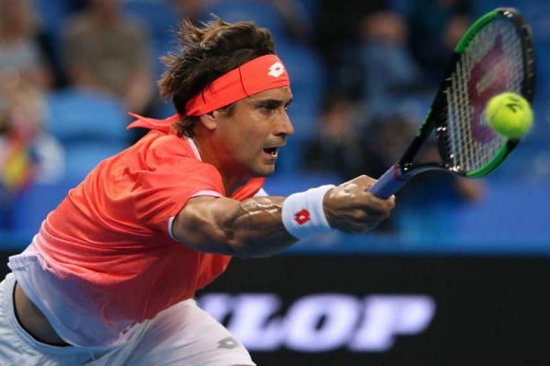 David Ferrer will retire from professional tennis by the end of this year.