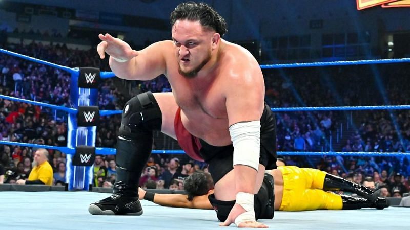 Had Samoa Joe been signed earlier by WWE, he could have easily feuded with the Undertaker.