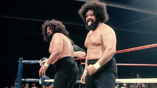 Wrestling's greatest brothers: photos