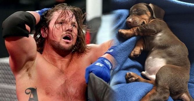 WWE News: SmackDown Live star reveals he has not signed a new deal; mocks AJ Styles