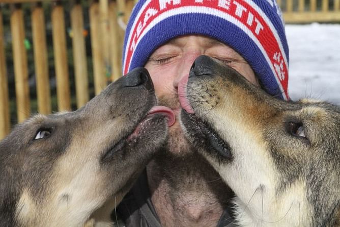 Iditarod competitor whose dogs quit says they got spooked