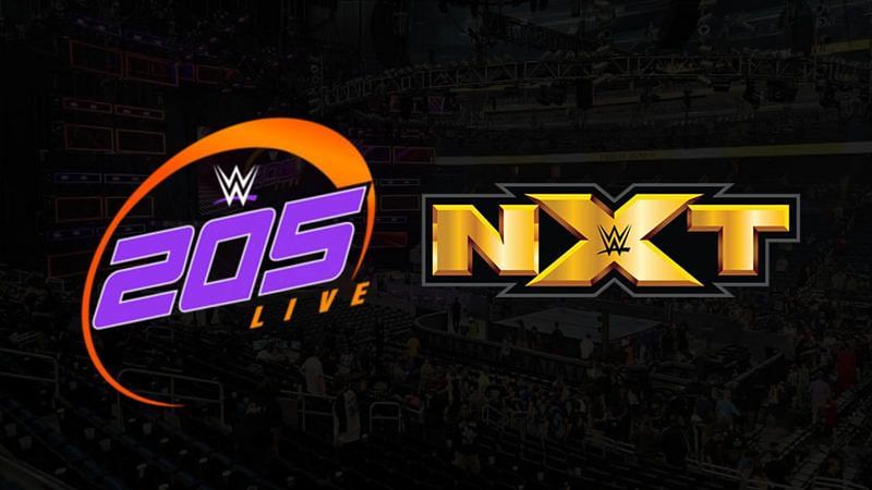 Image result for nxt 205 live