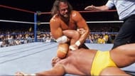 The Mega Powers exploded at Wrestlemania V