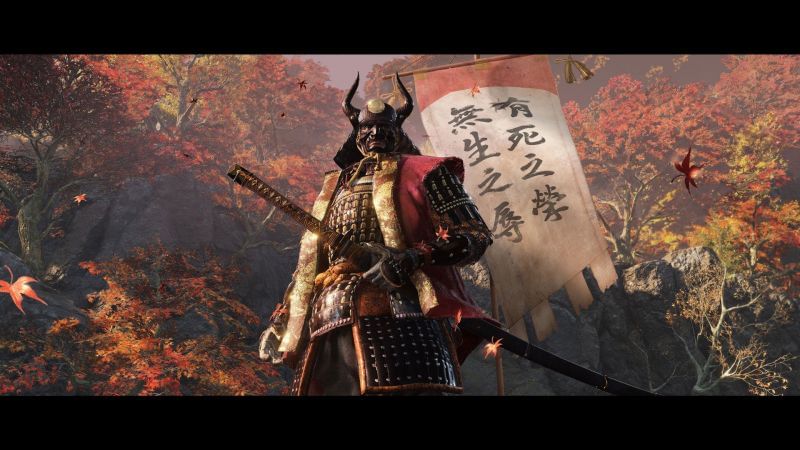 Image Origin (https://www.sekirothegame.com/gallery)