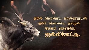 Jallikattu Premier League: The reality about the sport