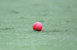 Scores of the TNCA league matches held on 10th March 2019