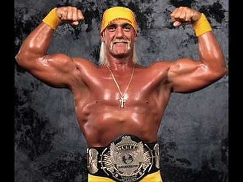 The Hulk Hogan character didn&#039;t work well in WCW