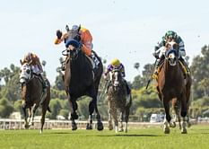 23rd horse dies at Santa Anita after racing accident