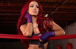 Why Sasha Banks has nothing left to prove in WWE