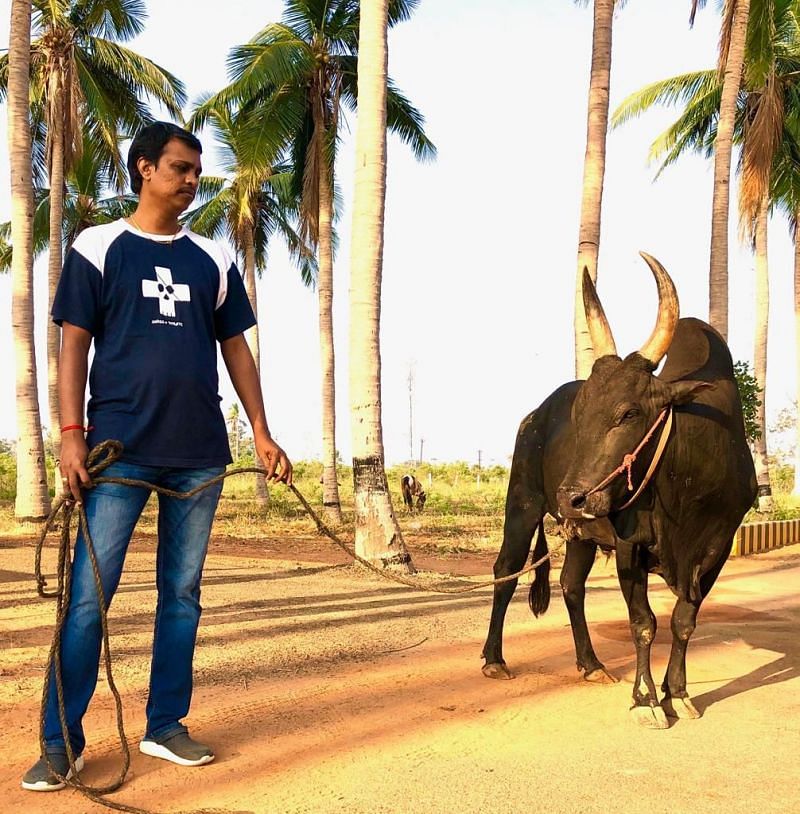 T.R.S. Muthukumaar, Founder of Jallikattu Premier League with his Bull