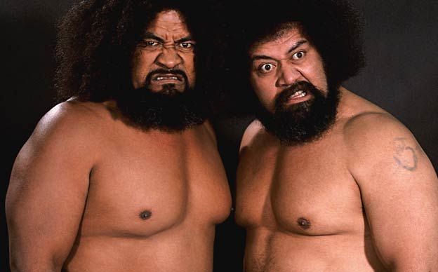 4 most successful real life brother tag teams in WWE History