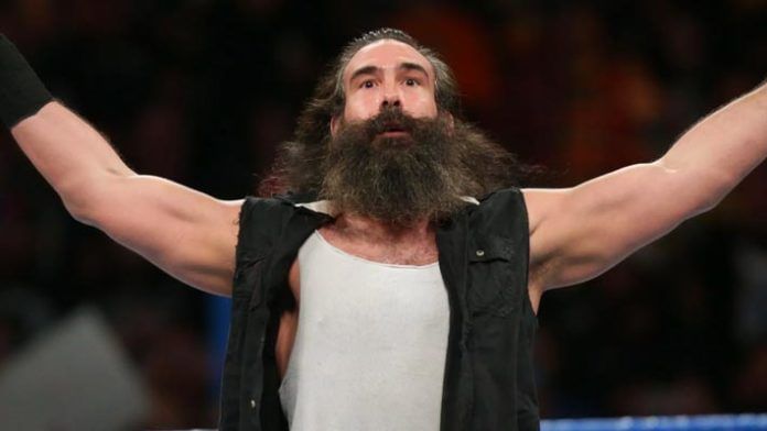 luke harper