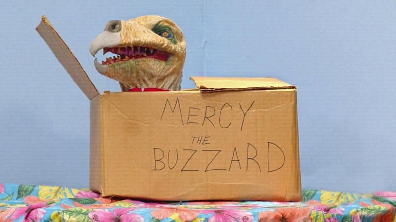 Mercy The Buzzard