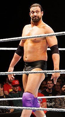Damien Sandow