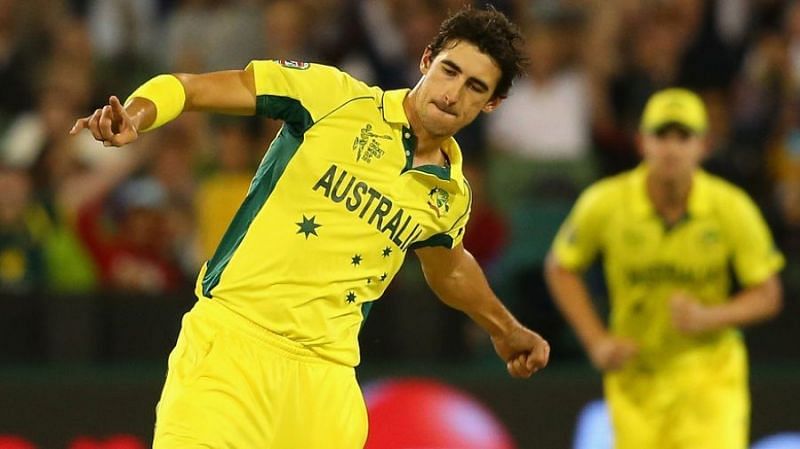 Starc was the leading wicket-taker in 2015 World Cup