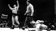 A triumphant Bruno Sammartino stands over the fallen Buddy Rogers