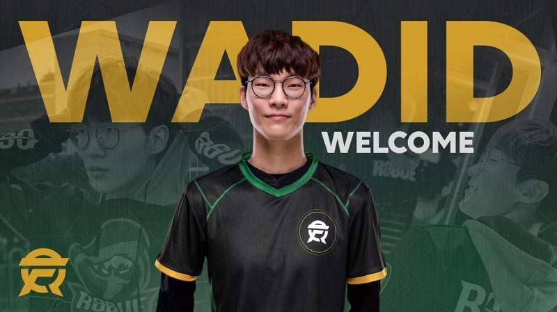 Wadid joins Fly Quest
