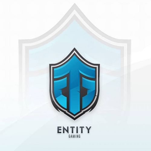 Entity Gaming (Image courtesy: Entity Gaming Facebook)