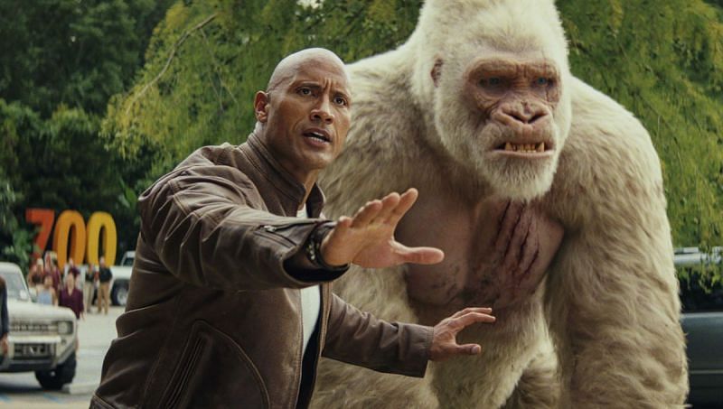 I&#039;m sure the gorilla is welcome, but only the Rock will likely show up in October.