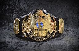 5 WWE wrestlers who have never won a world championship (because they didn't need it)