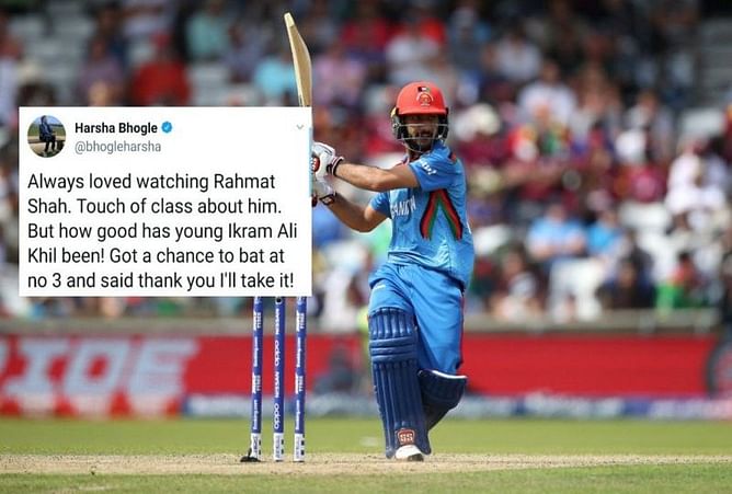 World Cup 2019: Cricket fraternity reacts as Afghanistan suffered another loss despite promising innings from Ikram Ali