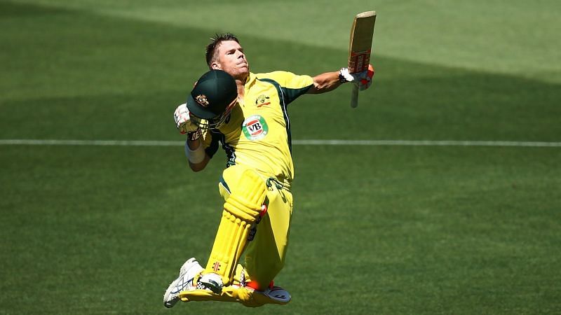 David Warner leaps in jubilation