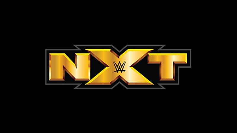 The stars of the WWE future compete at NXT live events