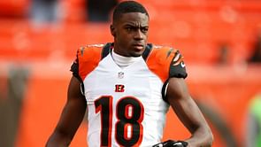 A.J. Green injury not 'extremely long term' - Bengals coach Taylor
