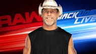 Shawn Michaels