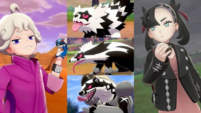 Image result for galarian zigzagoon