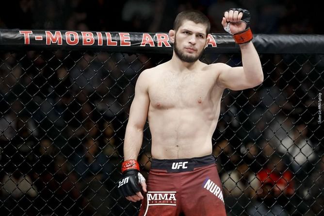 UFC News: PETA enraged by Khabib Nurmagomedov wrestling a bear, asks for a reconsideration of his star status