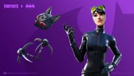 The Catwoman Bundle (Image: Epic Games)