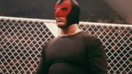 The Black Scorpion, portrayed by Ric Flair, challenged Sting for the NWA World Heavyweight title at Starrcade