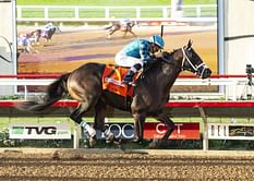 Accident mars closing-day Del Mar Futurity