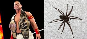 5 Facts you didn't know about John Cena