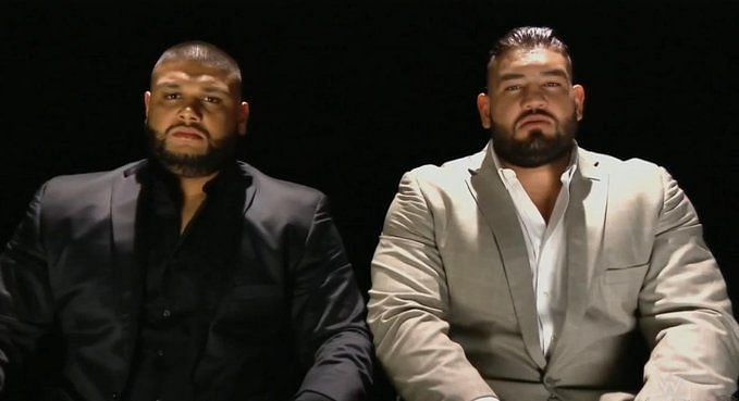 Authors of Pain