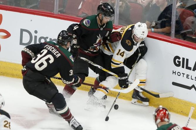Halak stops 35 shots in Bruins' 1-0 win over Coyotes