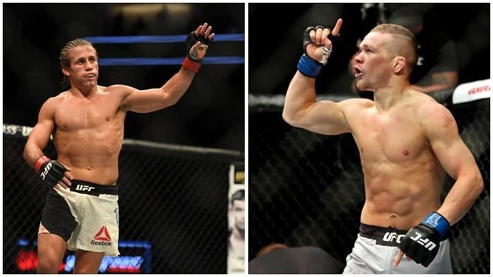 Urijah Faber is likely to face Petr Yan at UFC 245